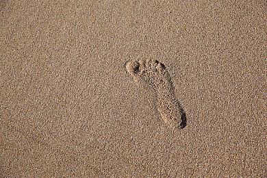 《狙击精英：抵抗》Steam褒贬不一 被批是5代的DLC